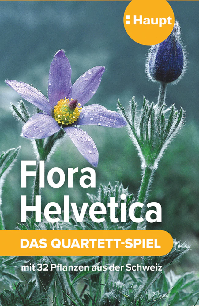 Vorschaubild 1