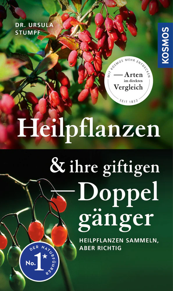 Vorschaubild 1