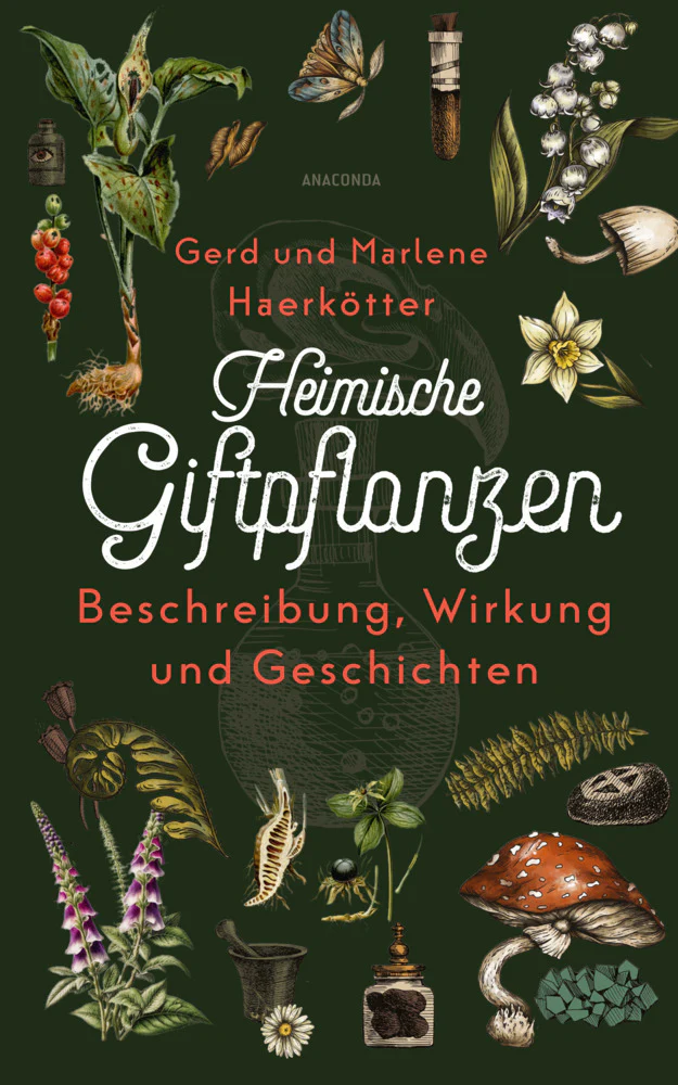 Vorschaubild 1