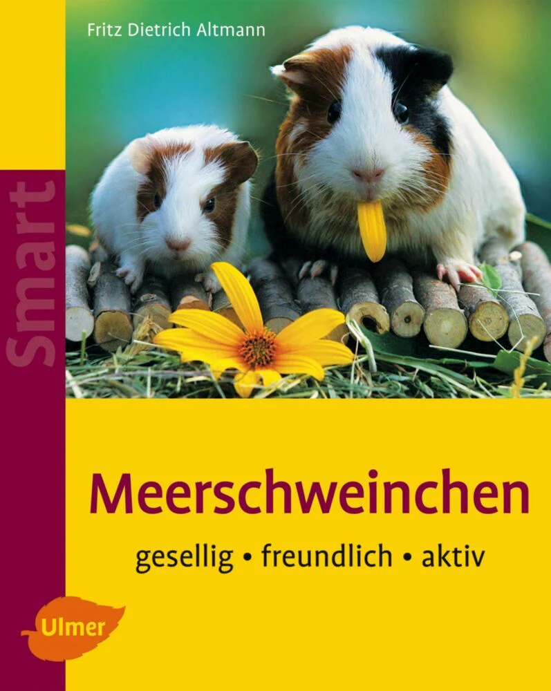 Vorschaubild 1