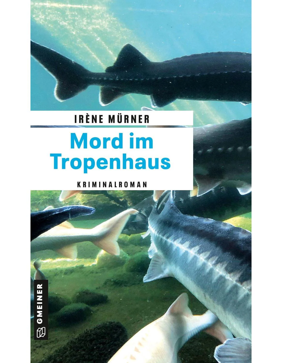 Vorschaubild 1