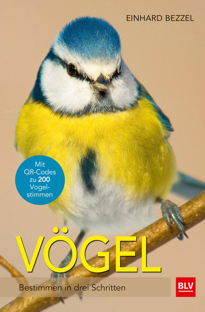 Vorschaubild 1